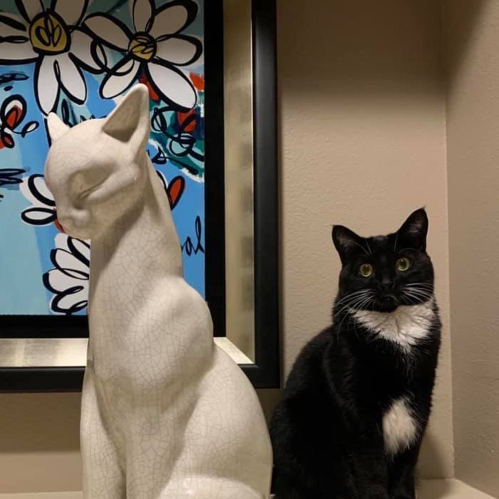 Meet your Posher, Melissa